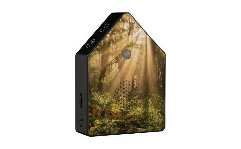 Forest